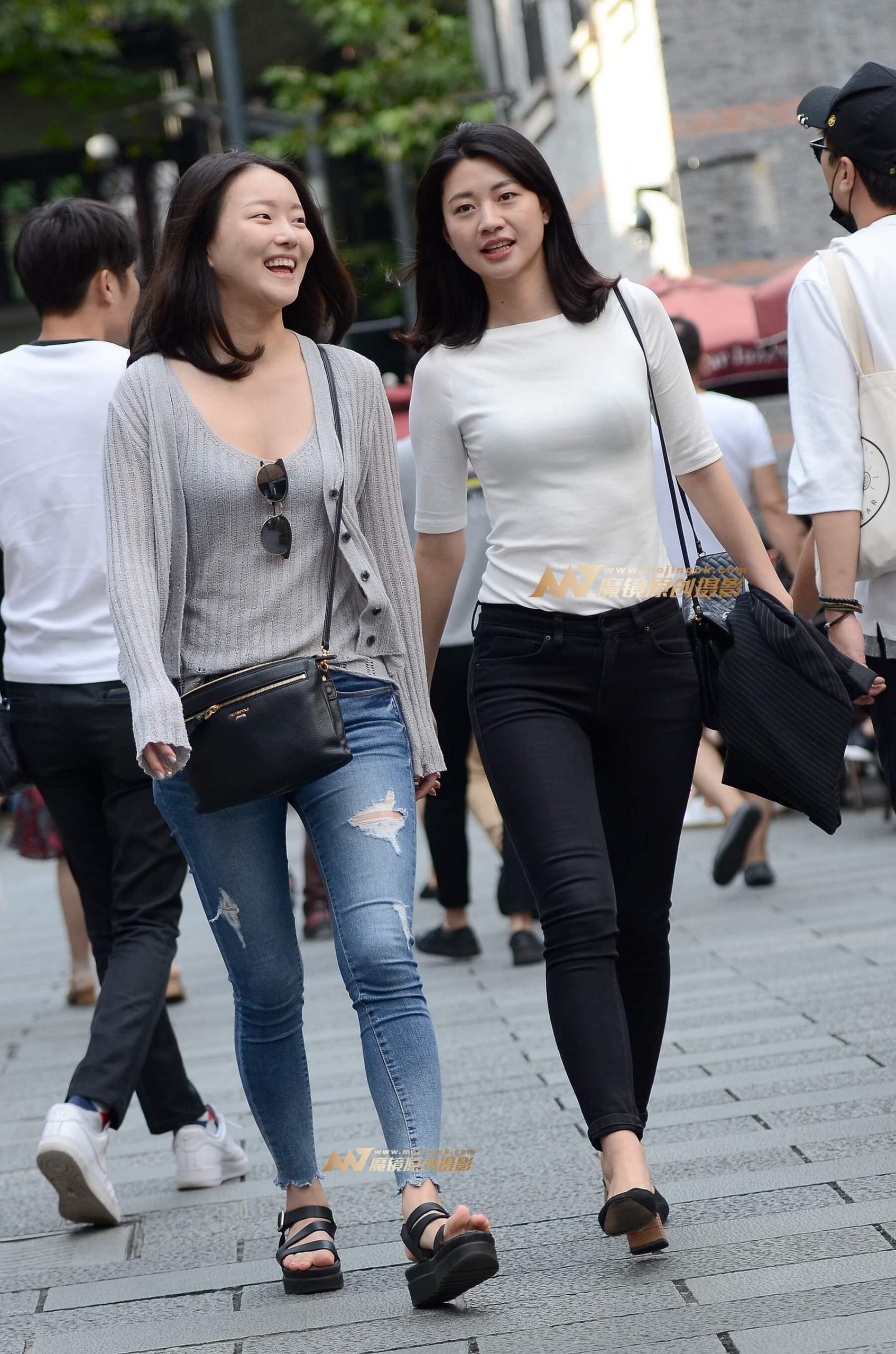 黑紧牛，蓝紧牛