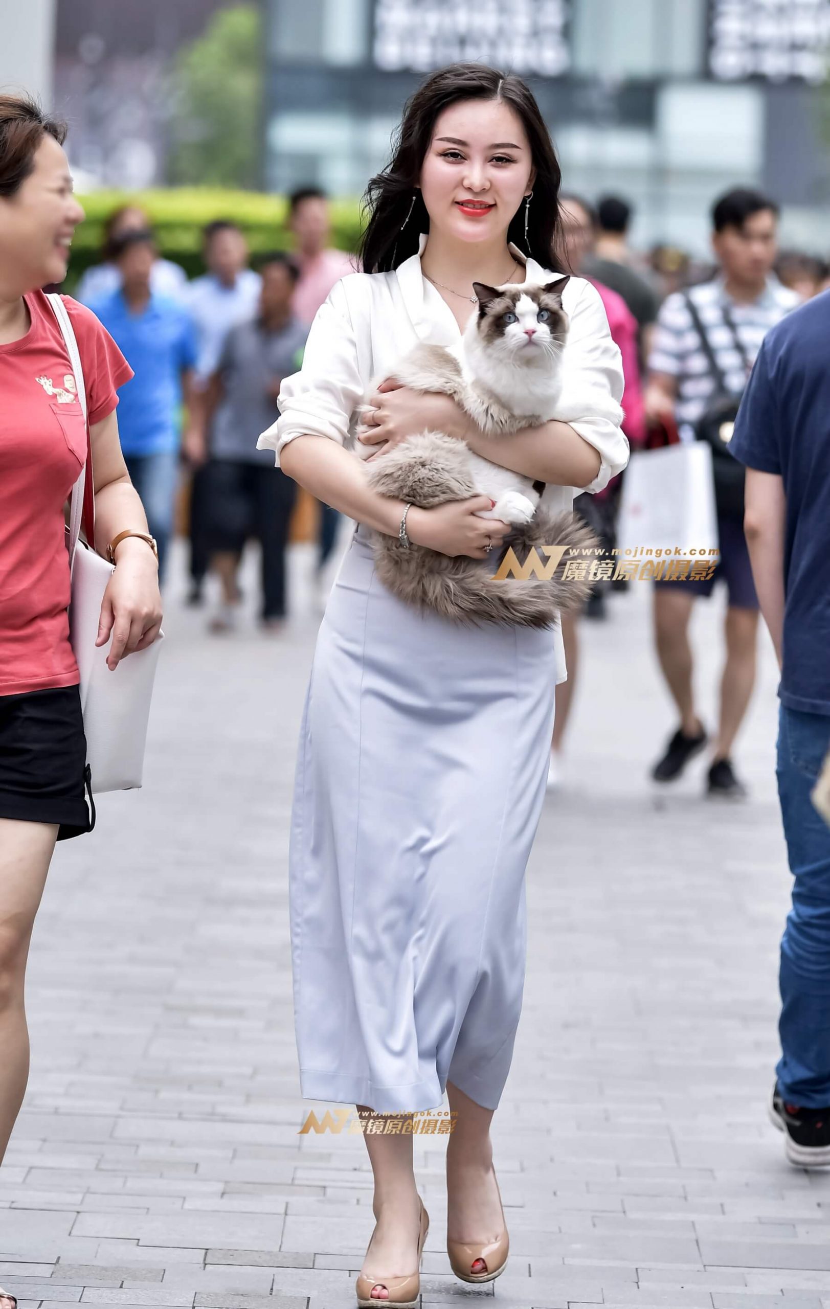 左手倒影赛帖：大气唯美的美女与她可爱的宠猫猫