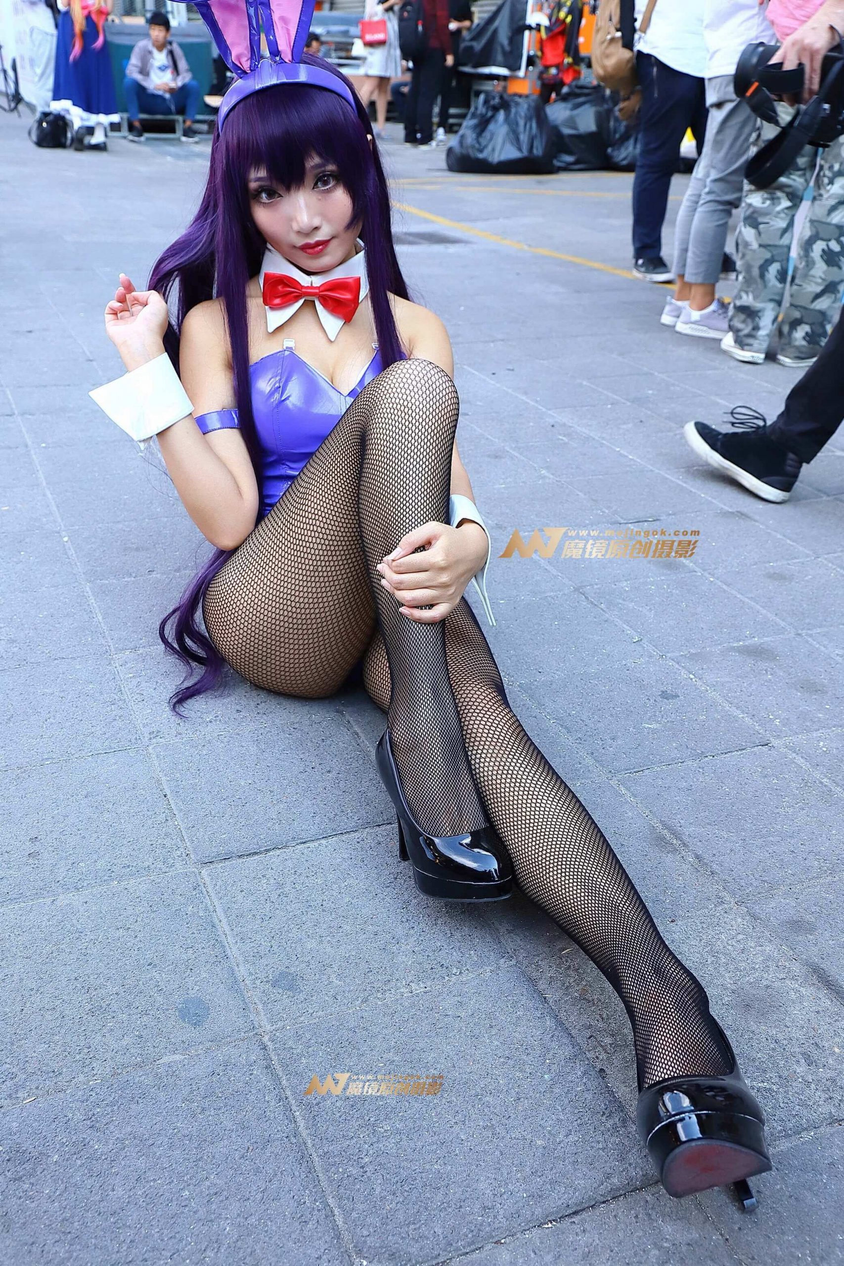 紫色长腿黑网兔妹